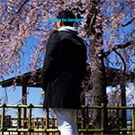 古墳神社寺祭り | パワースポットの城